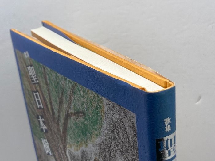 聖日本樹―歌集 ながらみ書房 佐古良男 - メルカリ