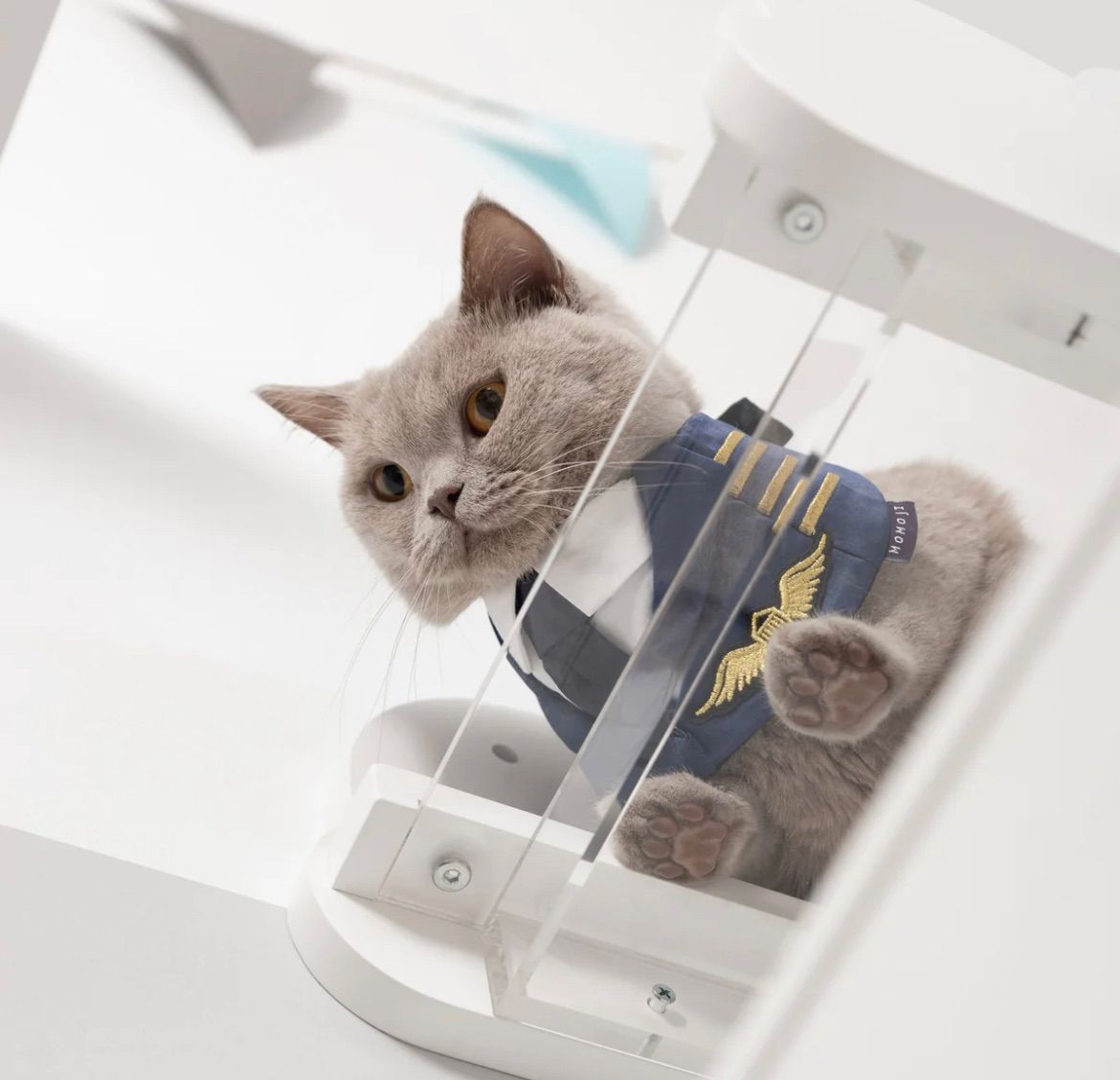 MYZOO MOKU 雲 キャットステップ 猫 透明 クリア（透明）キャットステップ】MYZOO-MOKU（全2色）