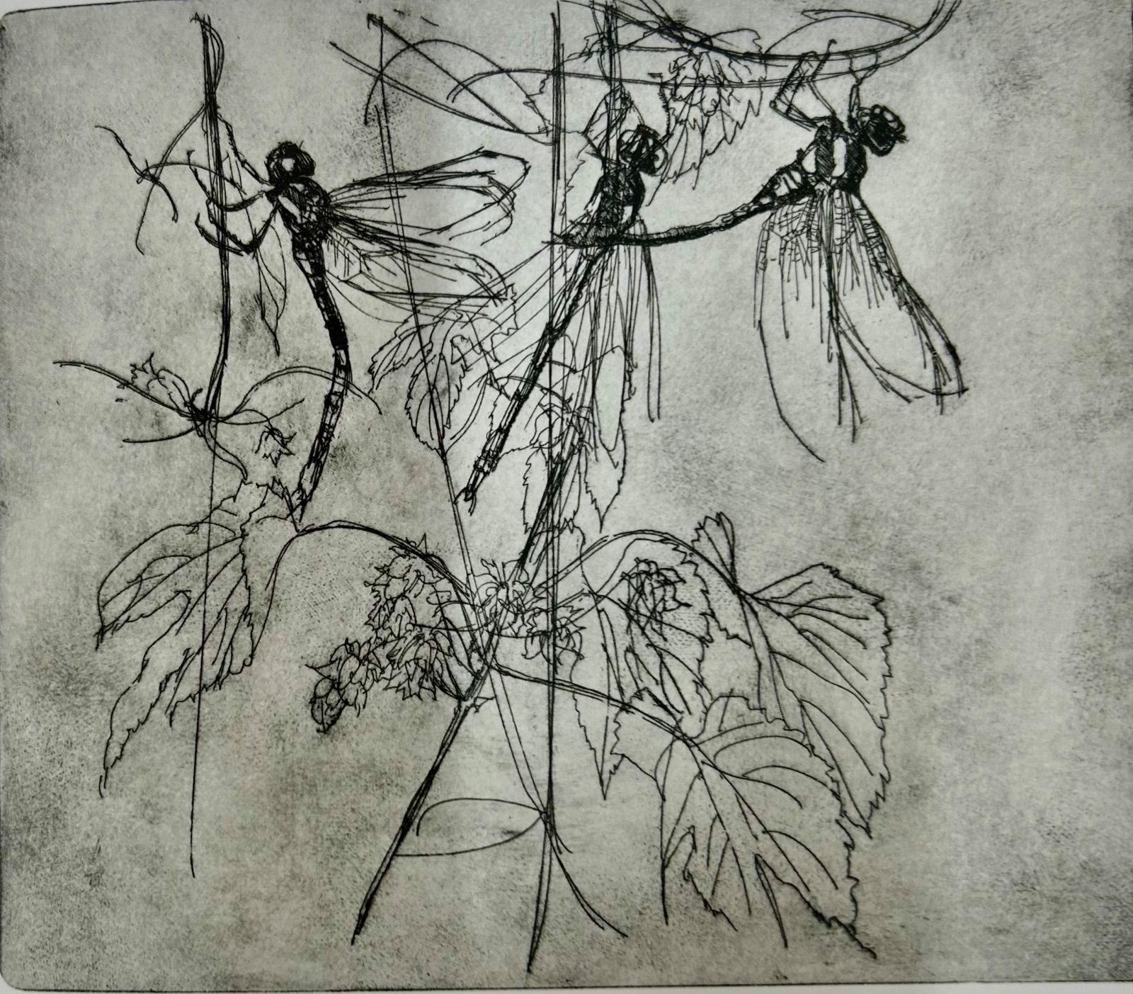 小磯良平 小磯良平銅版画集』 - メルカリ