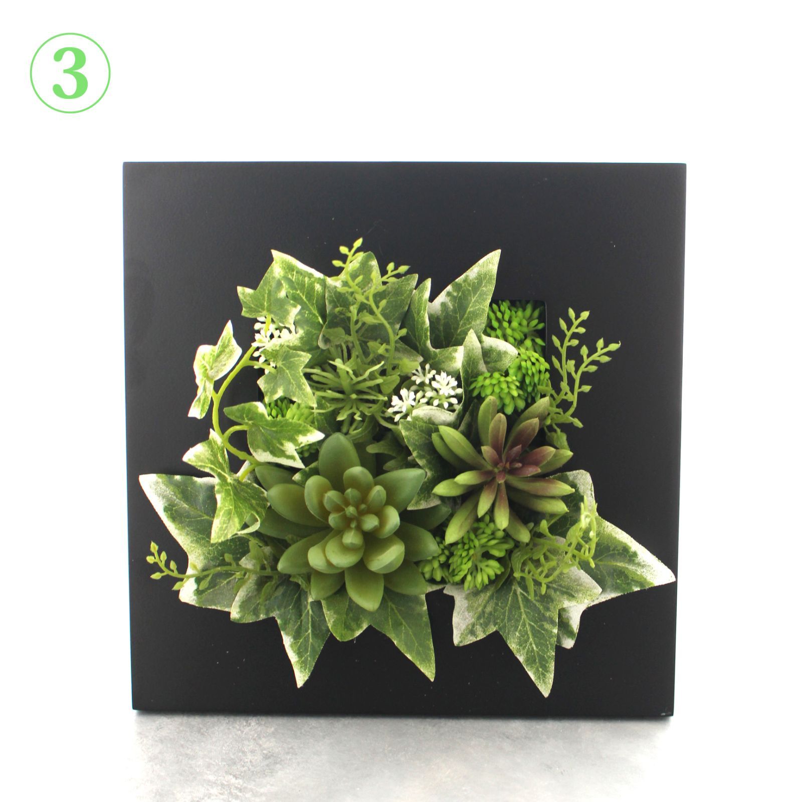 新井英樹 まとめ売り 14作品66冊 新井英樹 まとめ売り 14作品66冊 新井英樹 まとめ売り 14作品66冊