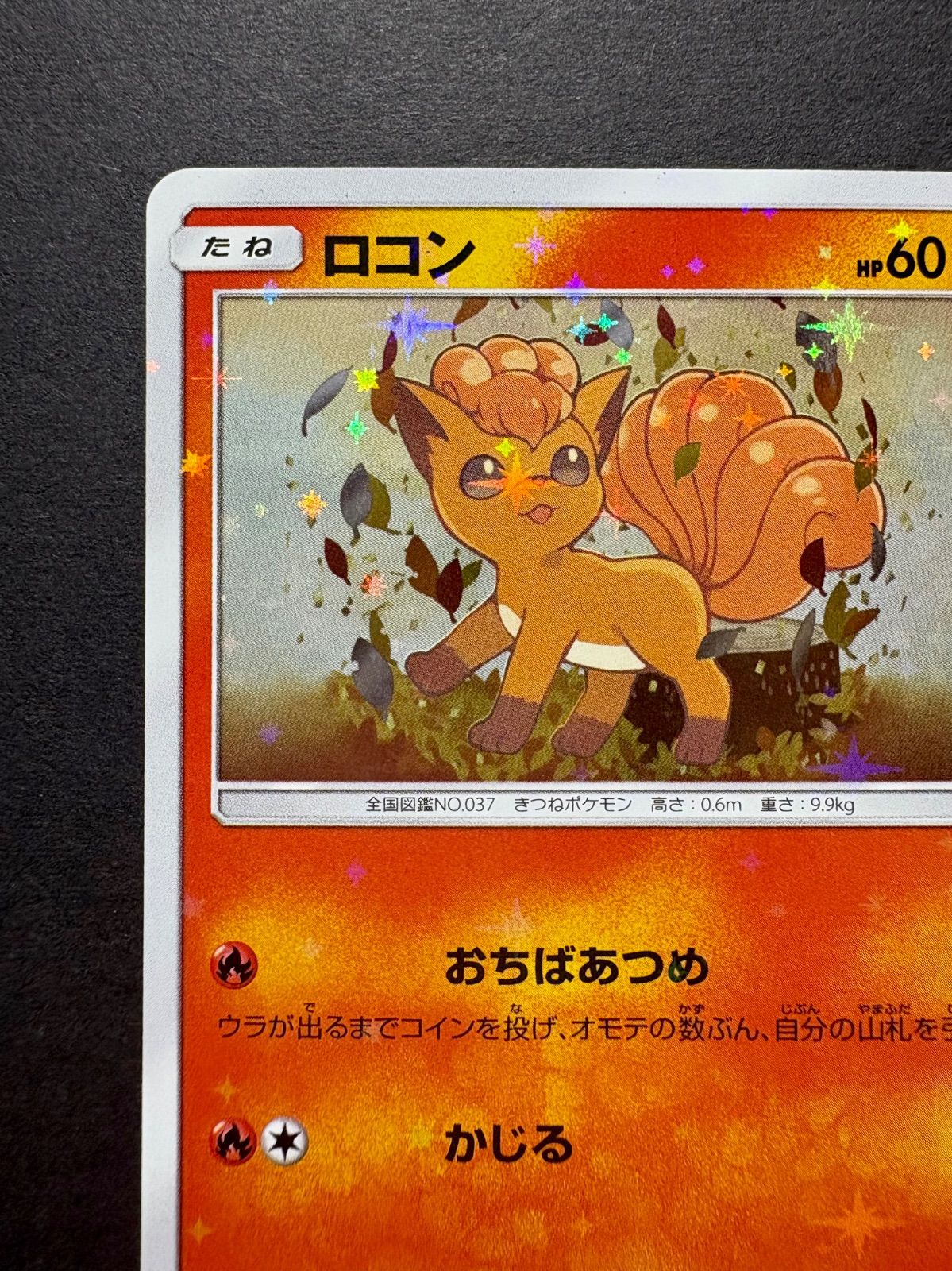 ロコン PROMO プロモカード 146/SM-P ☆ポケカ☆『ロコン』プロモカード（146/SM-P）【PROMO