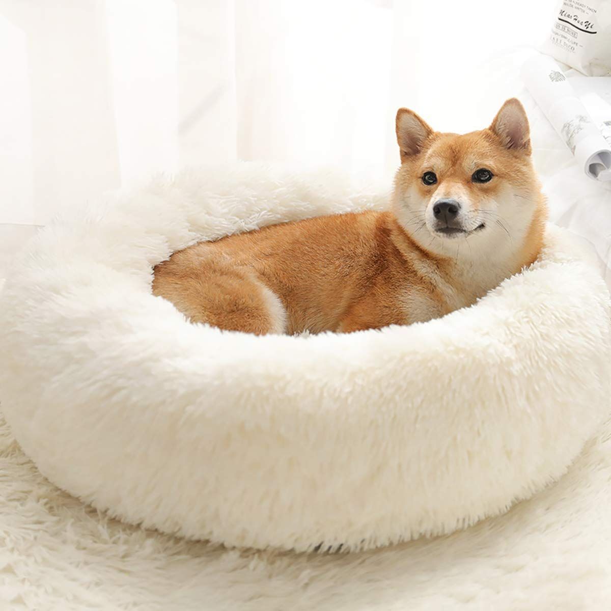 猫 べッド 犬 ベッド ふわふわ 冬 中綿増量 洗える ペットベッド ペットクッション マット 犬用 ネコ ねこ 小動物用 丸型 滑り止め付き  オールシーズン用 柔らかい もこもこ 保温防寒 寒さ対策 小型犬・中型犬・大型犬 RaogtCYU ペットベッド 犬 ベッド 猫 べッド ... 犬  ... 猫 べッド 犬 ベッド 通年 冬 中綿増量 丸型 ペットベッド ふわふわもこもこ