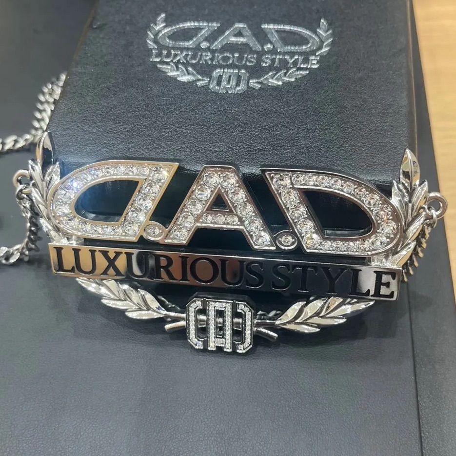 タイプディルス