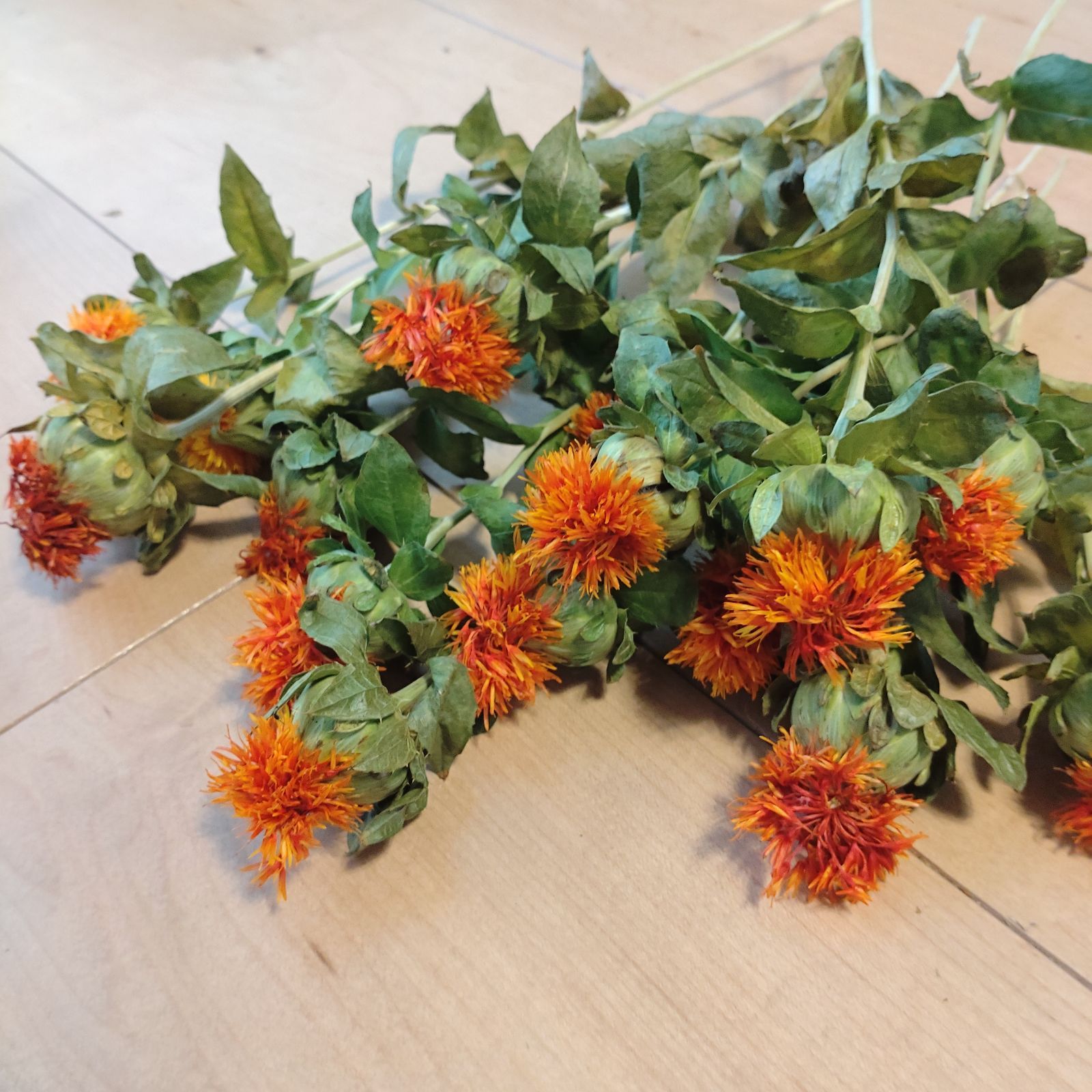 メルカリshops 紅花 サフラワー 15本 ドライフラワー