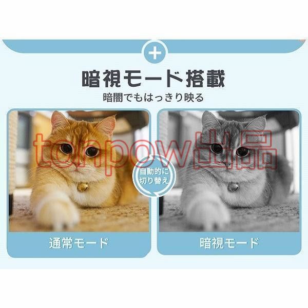 ペット