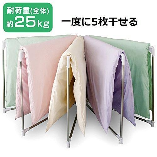 扇型