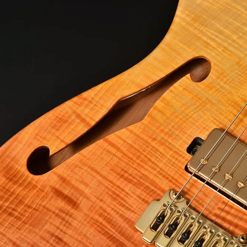 ギター Bacchus custom Bacchus バッカス T-CUSTOM-Premium/FT #107326 日本製 エレキ
