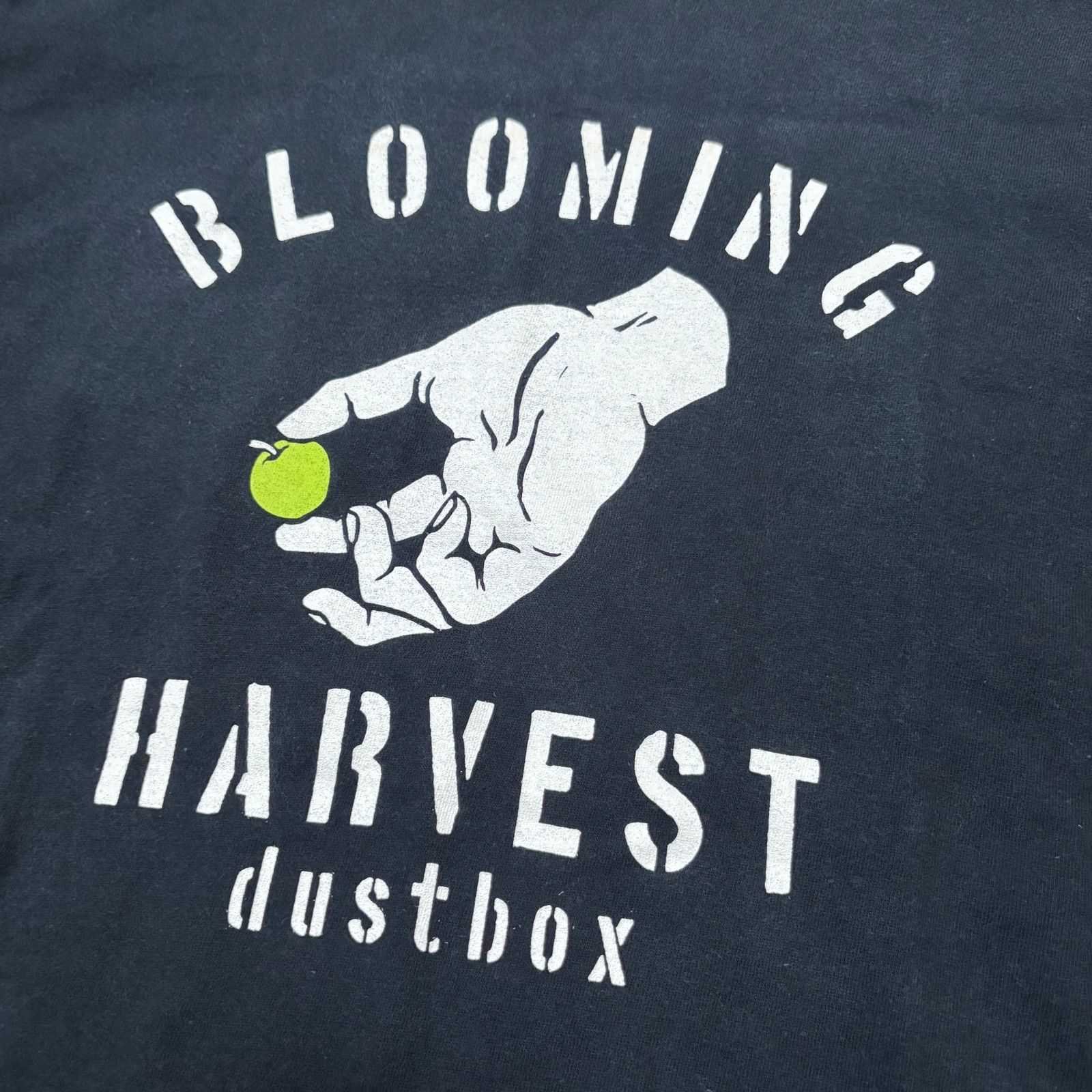 dustbox BLOOMING HARVEST Tシャツ 7347 - メルカリ