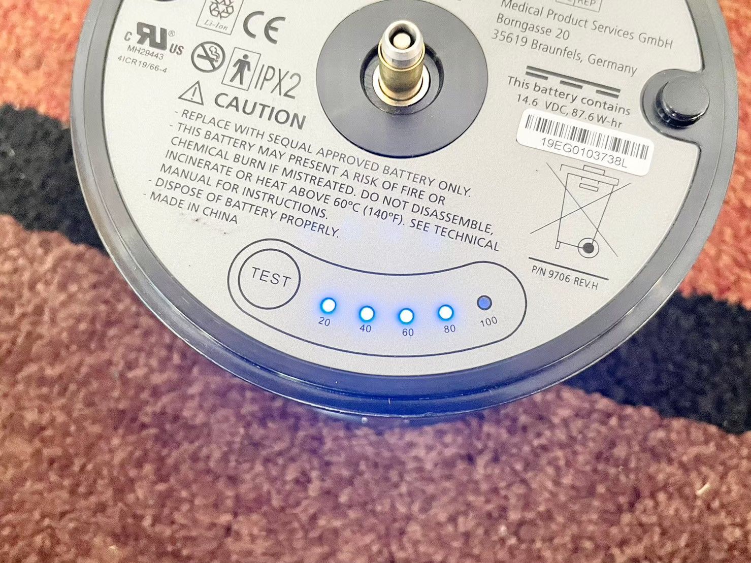 緊急 災害動物病院