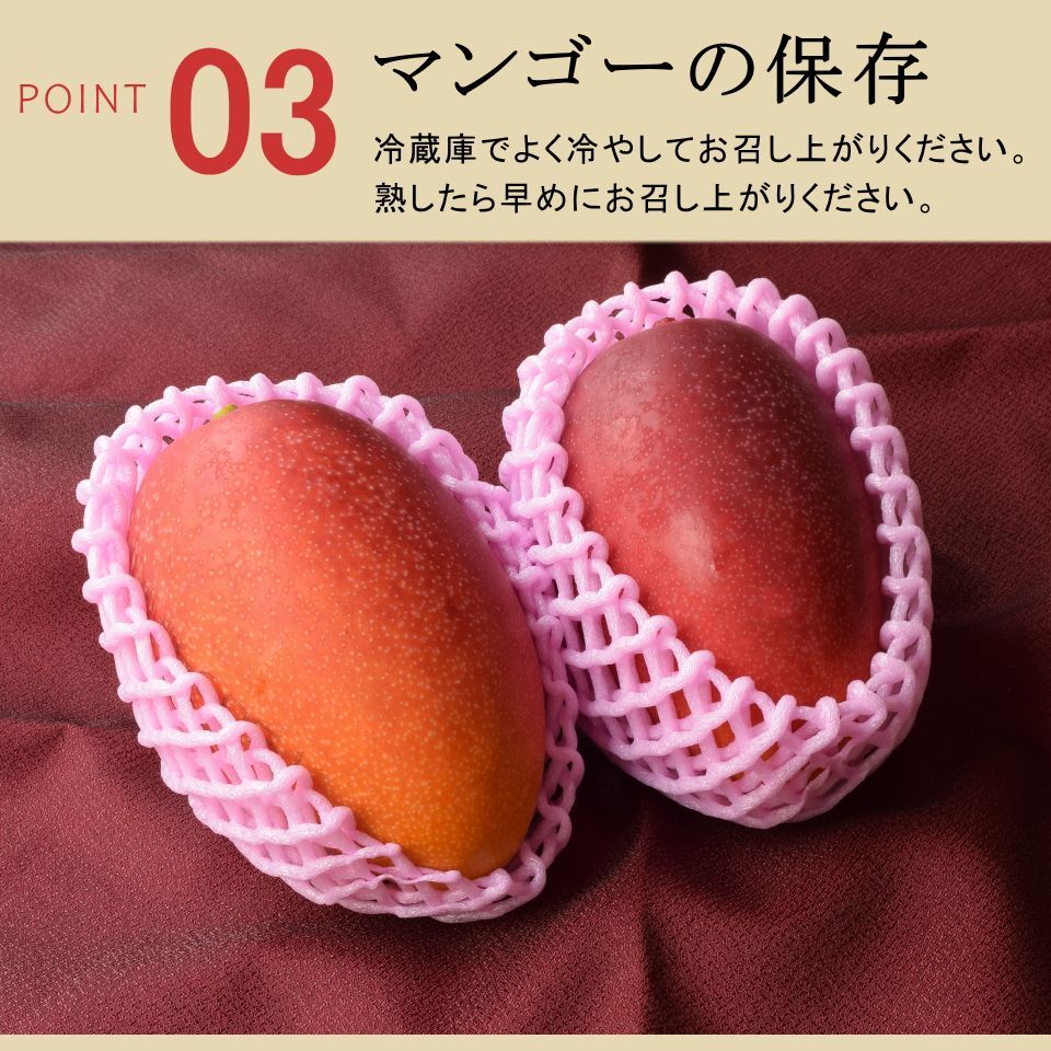 宮崎マンゴー2L 大玉