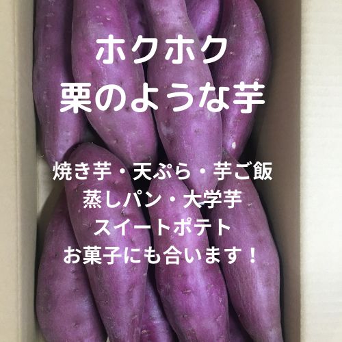 訳あり】新物 徳島県産 鳴門金時 規格外 さつまいも 10kg