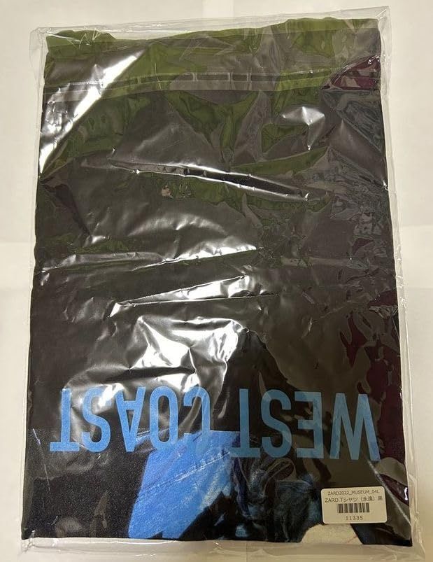 ZARD（ザード）永遠 Tシャツ 黒 L 即完売品！ZARD（ザード）永遠