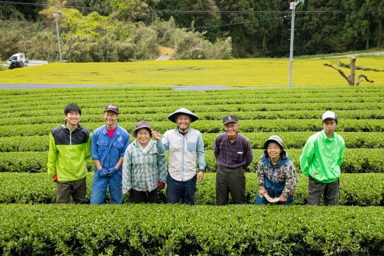 令和6年1番茶（新茶）　農薬不使用　そのぎ玉緑茶　オリジナルブレンド