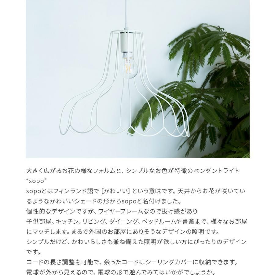 天井照明 玄関