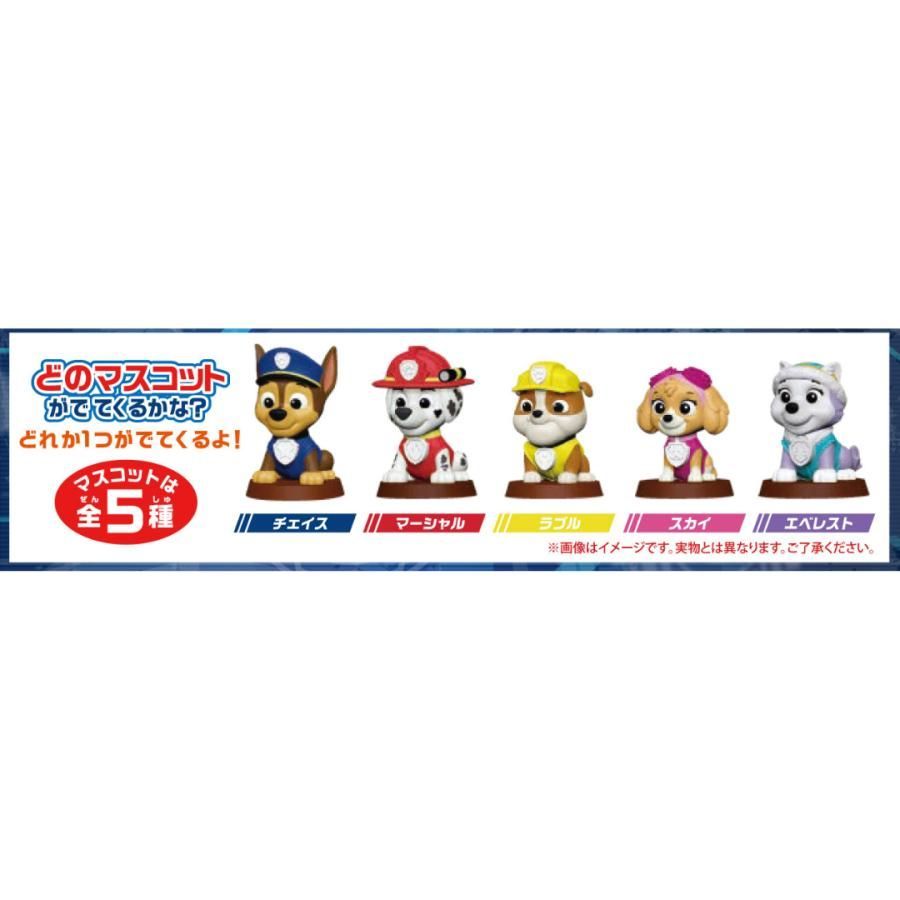 て*ん様 吉川ひより サイン チェキ