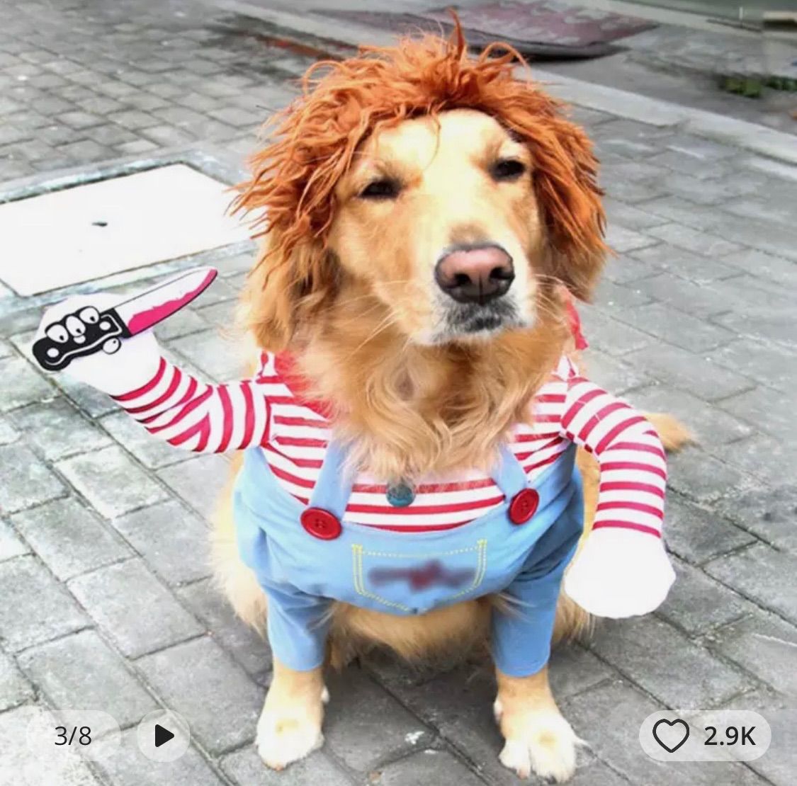 ペット服 チャッキー 犬 猫 コスプレ ハロウィン ペット コスプレ