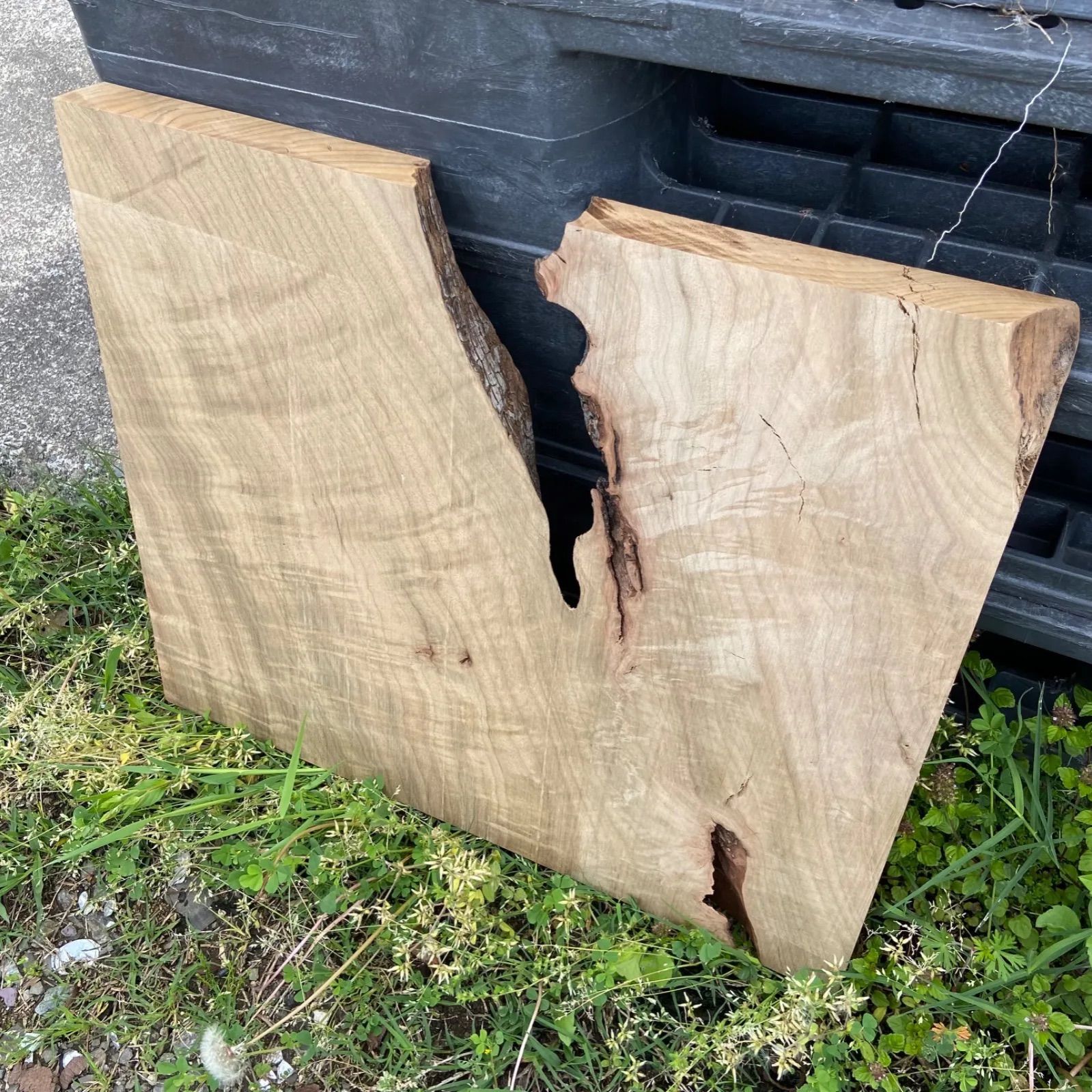 神代クス 木材 楠 無垢材 銘木 木工作品 手作り家具 インテリア