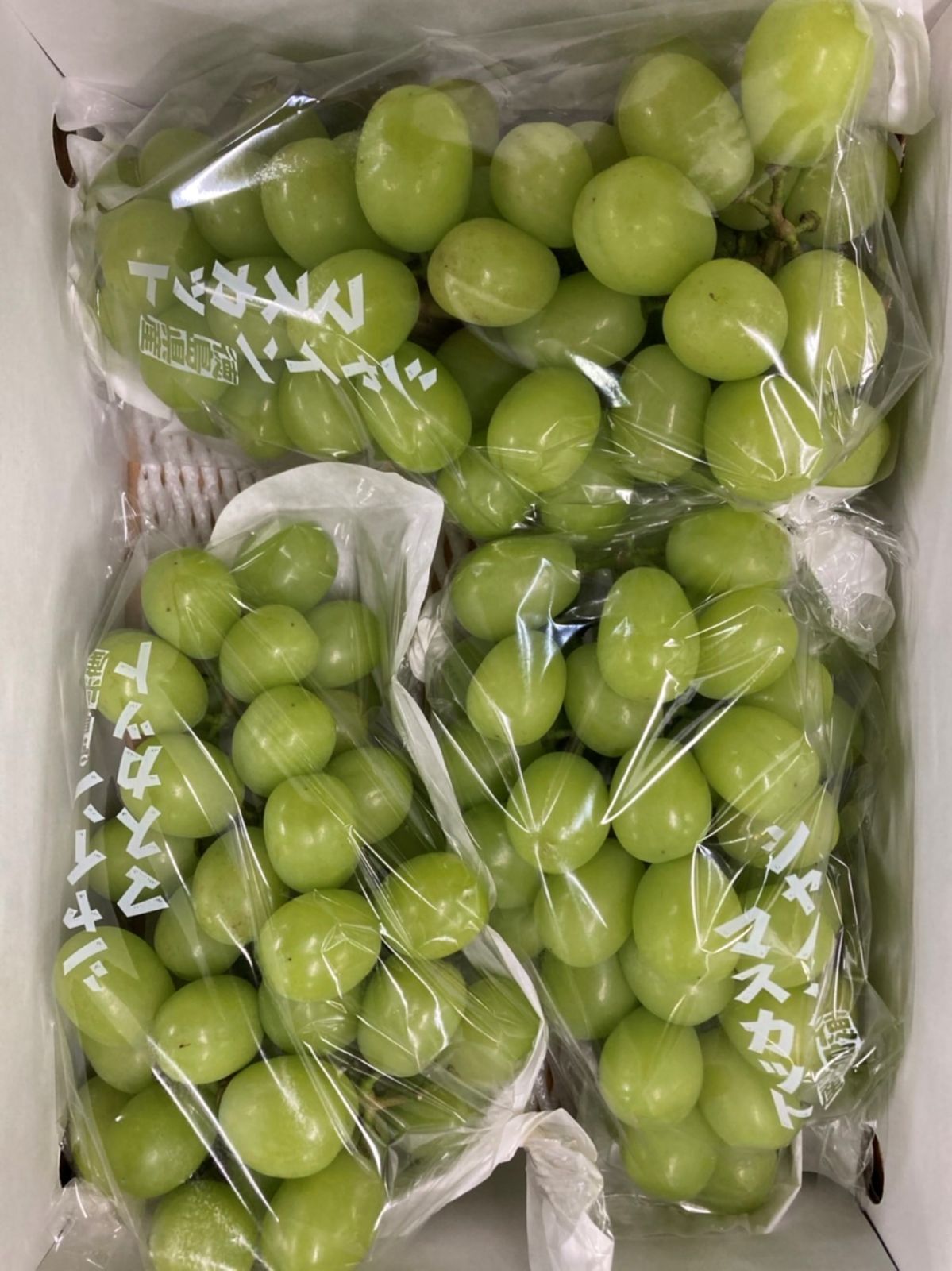 徳島県産シャインマスカット秀品 約2kg 種なし大粒ぶどう ギフトにも最適 ギフトにも】徳島県産 厳選シャインマスカット 2kg (3〜4房) 種