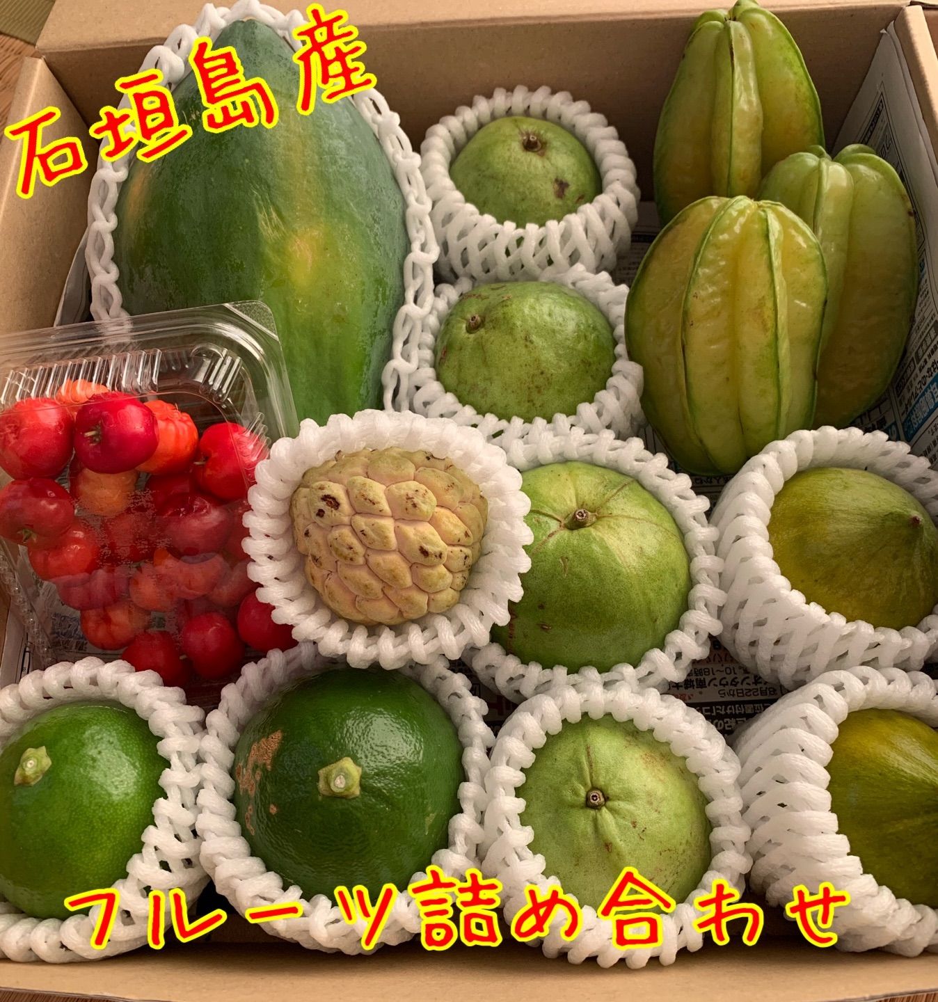 石垣島産フルーツ詰め合わせ