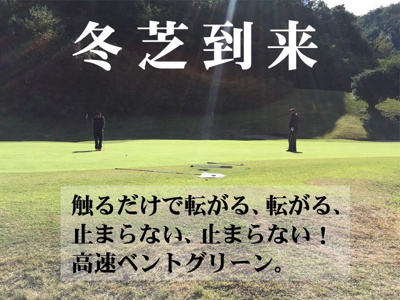 パターマット工房から直送 高速パターマット生地による廊下敷きカーペット