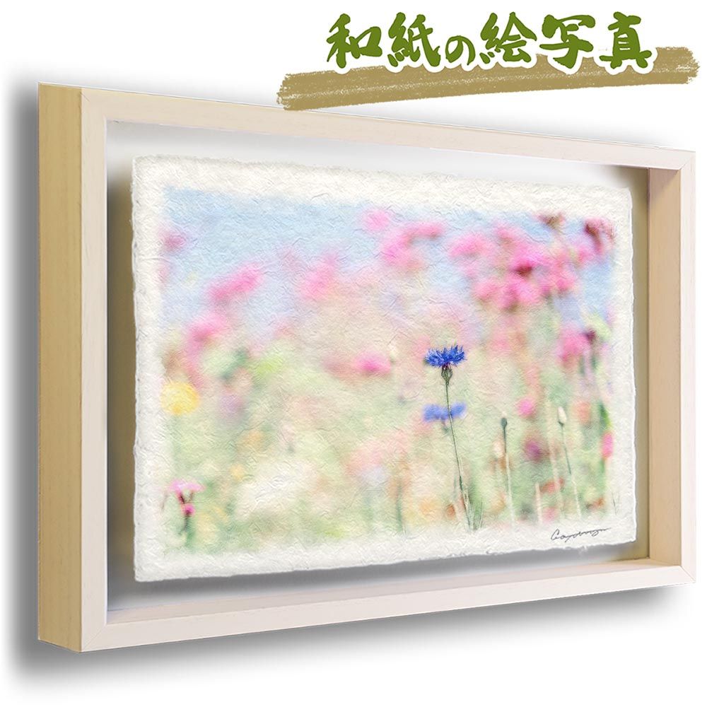 和紙の絵写真 「春の空とピンクの花畑のヤグルマキク」 立体額縁付き 38x27cm 絵画 インテリア 玄関 風水 風景画 アート パネル ポスター おしゃれ 新築祝い 絵 壁掛け 和モダン 和風 ジャパン