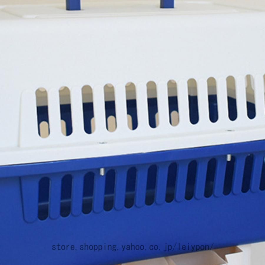 小型犬