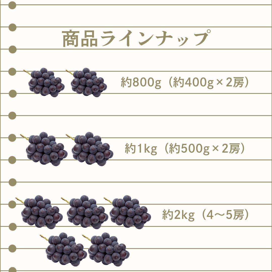 大粒で濃厚な味わい ギフト