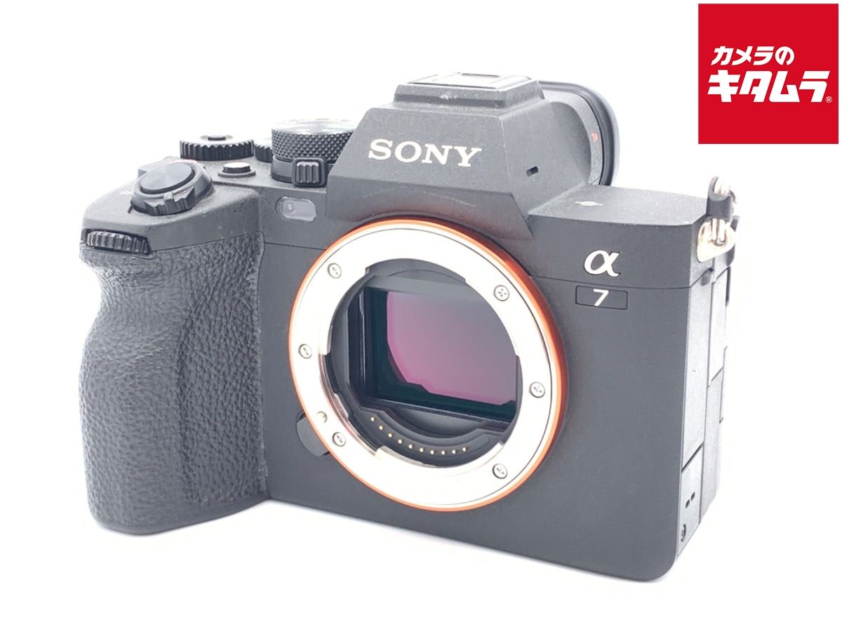 未開封　ピンバッジ　ポケモンセンターヨコハマ　2005 キモリ　ゴンベ 未開封 ピンバッジ ポケモンセンターヨコハマ 2005 キモリ ゴンベ