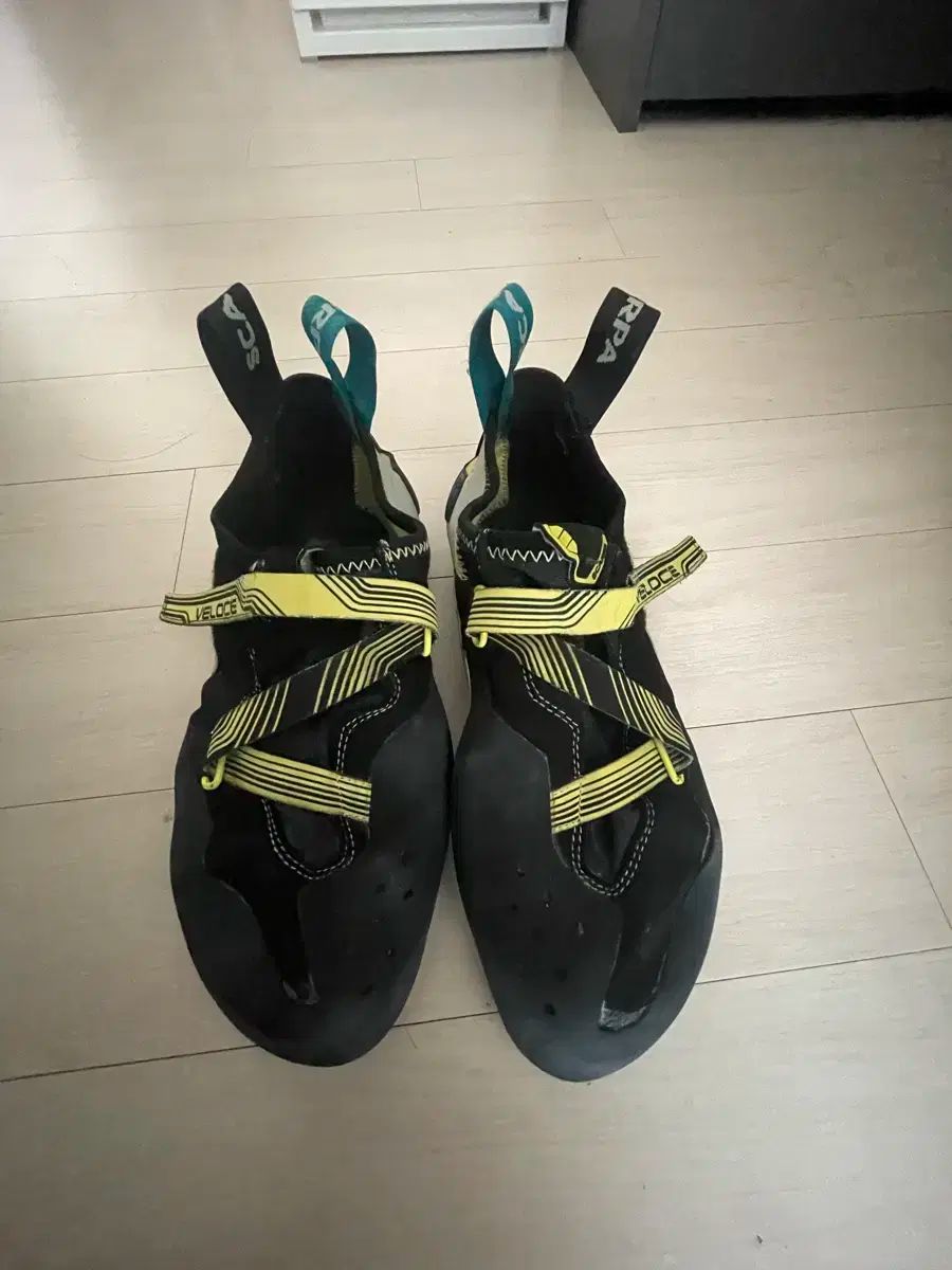 SCARPA スカルパ クライミングシューズ 280