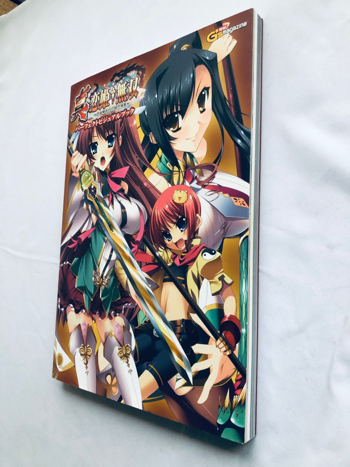 TVアニメ真・恋姫・無双ビジュアル・ガイドブック TVアニメ恋姫・無双ビジュアル・ガイドブック (JIVE FAN BOOK