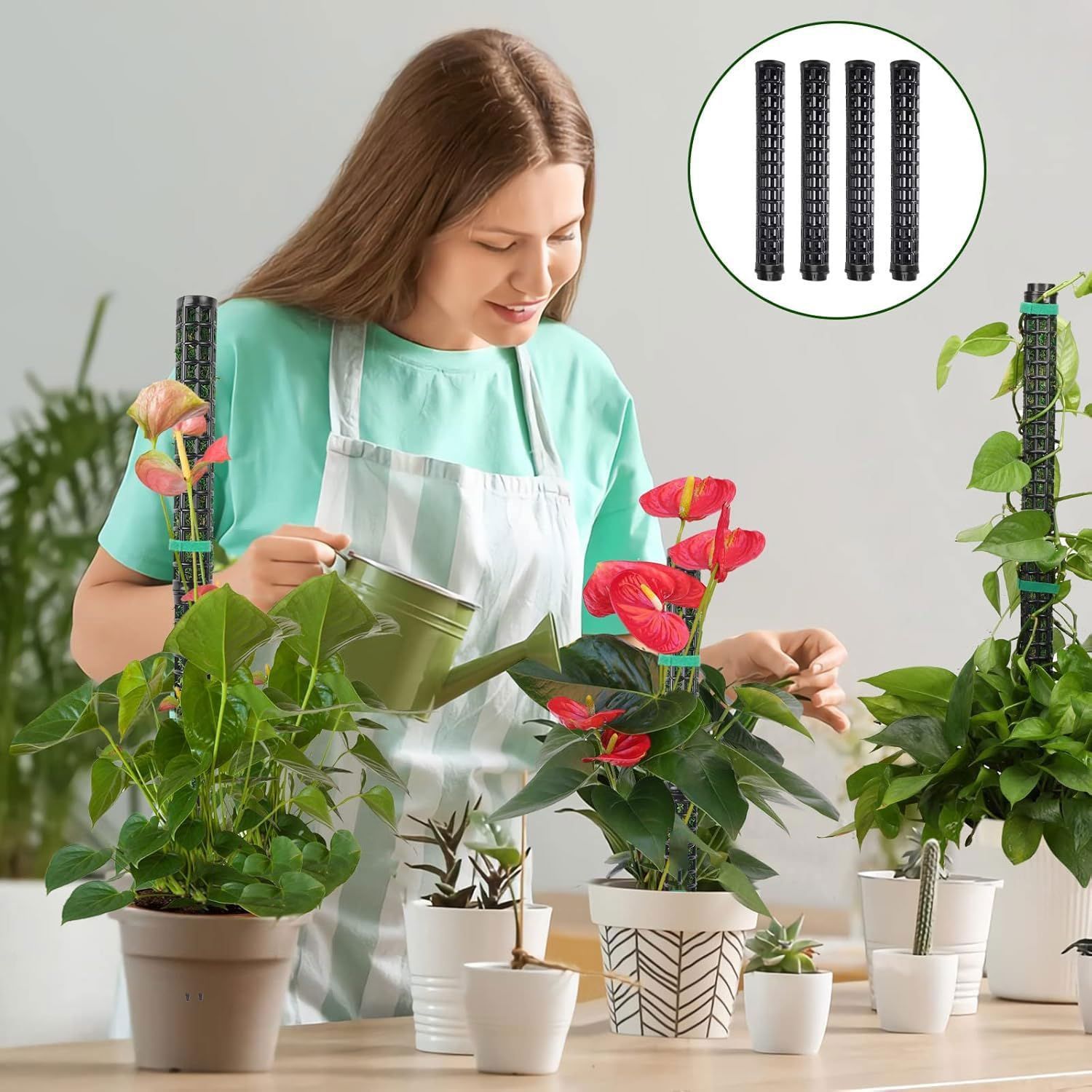 特価商品】支柱 支柱 モンステラ 2本セット連結可 モンステラ 植物