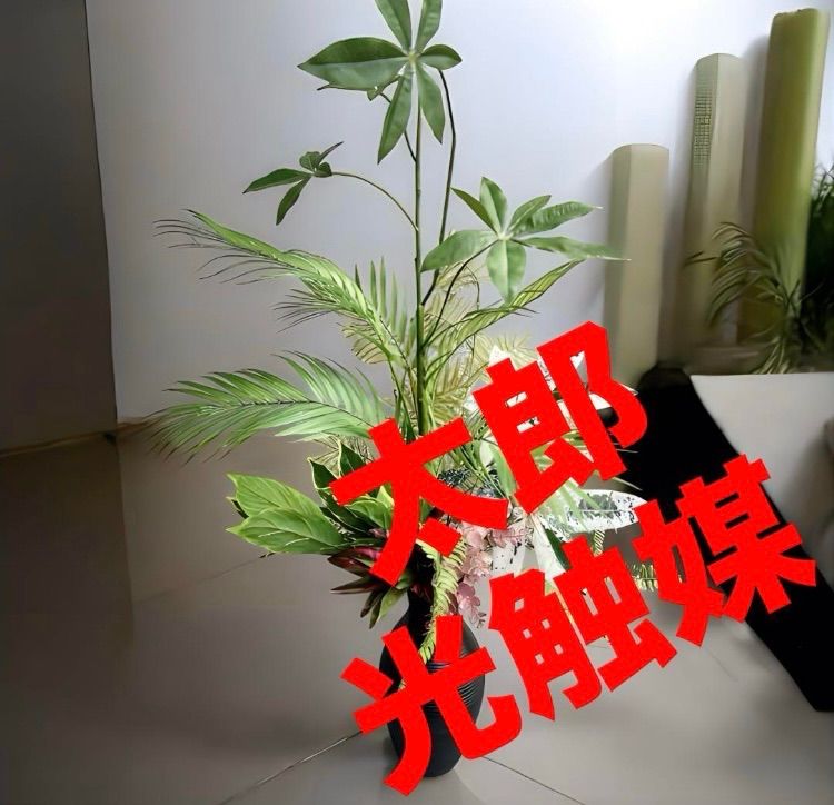 光触媒 人工観葉植物 ウォールグリーン フェイクグリーン ライト