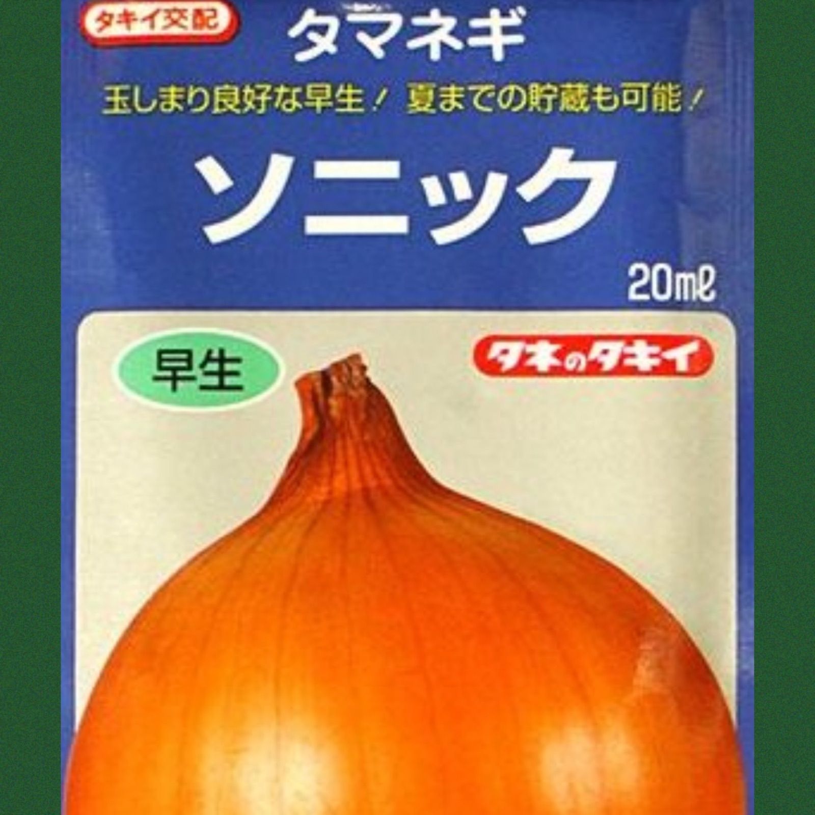 ソニック100本‼️早生玉ねぎ苗‼️9月いっぱい保存可能な品種‼️ - メルカリ