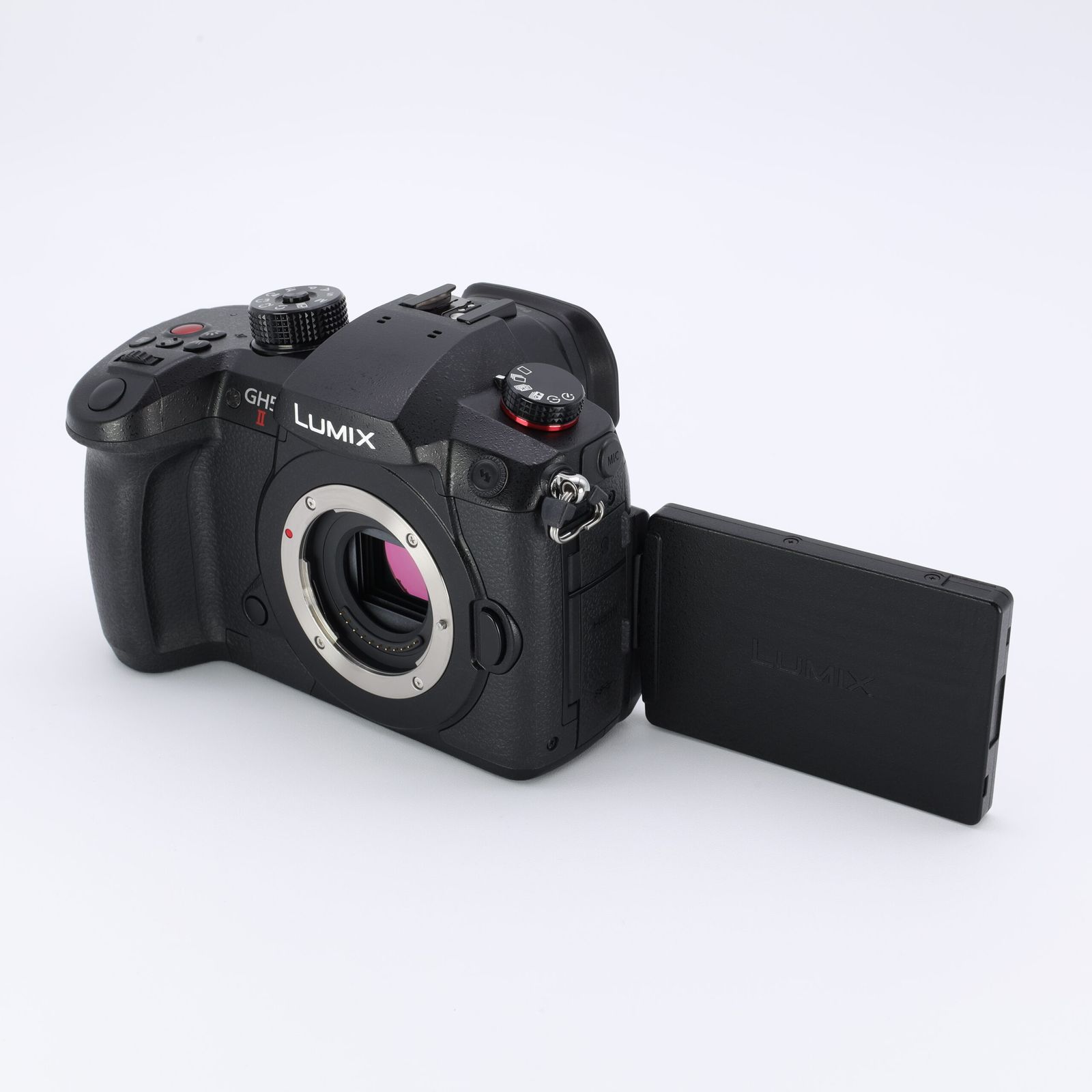 パナソニック ミラーレス一眼カメラ「LUMIX DC-GH5M2」標準ズーム 