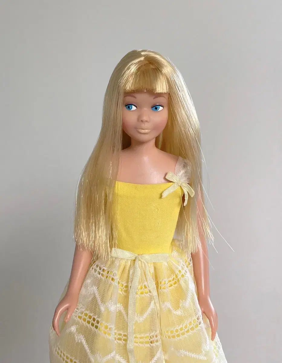 ヴィンテージ スキッパー Barbie(バービー) 人形 1994年☆Barbie