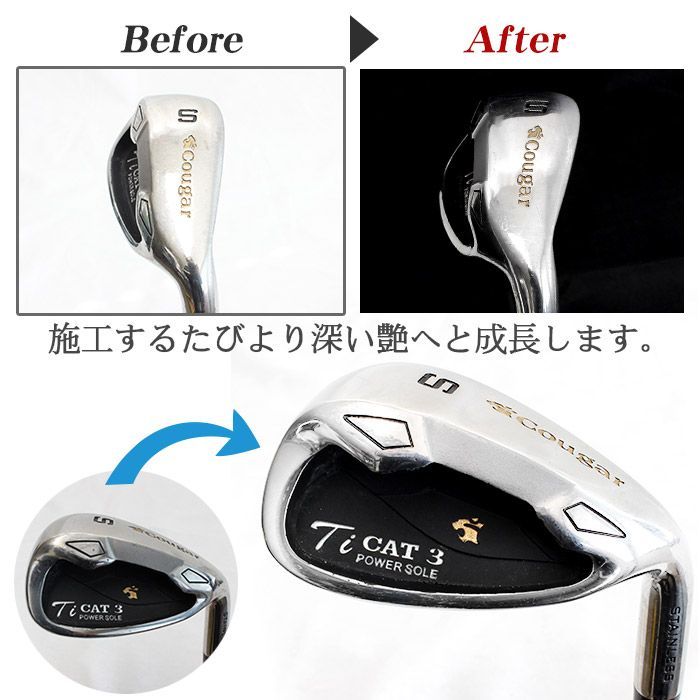 お手入れ 艶プラス