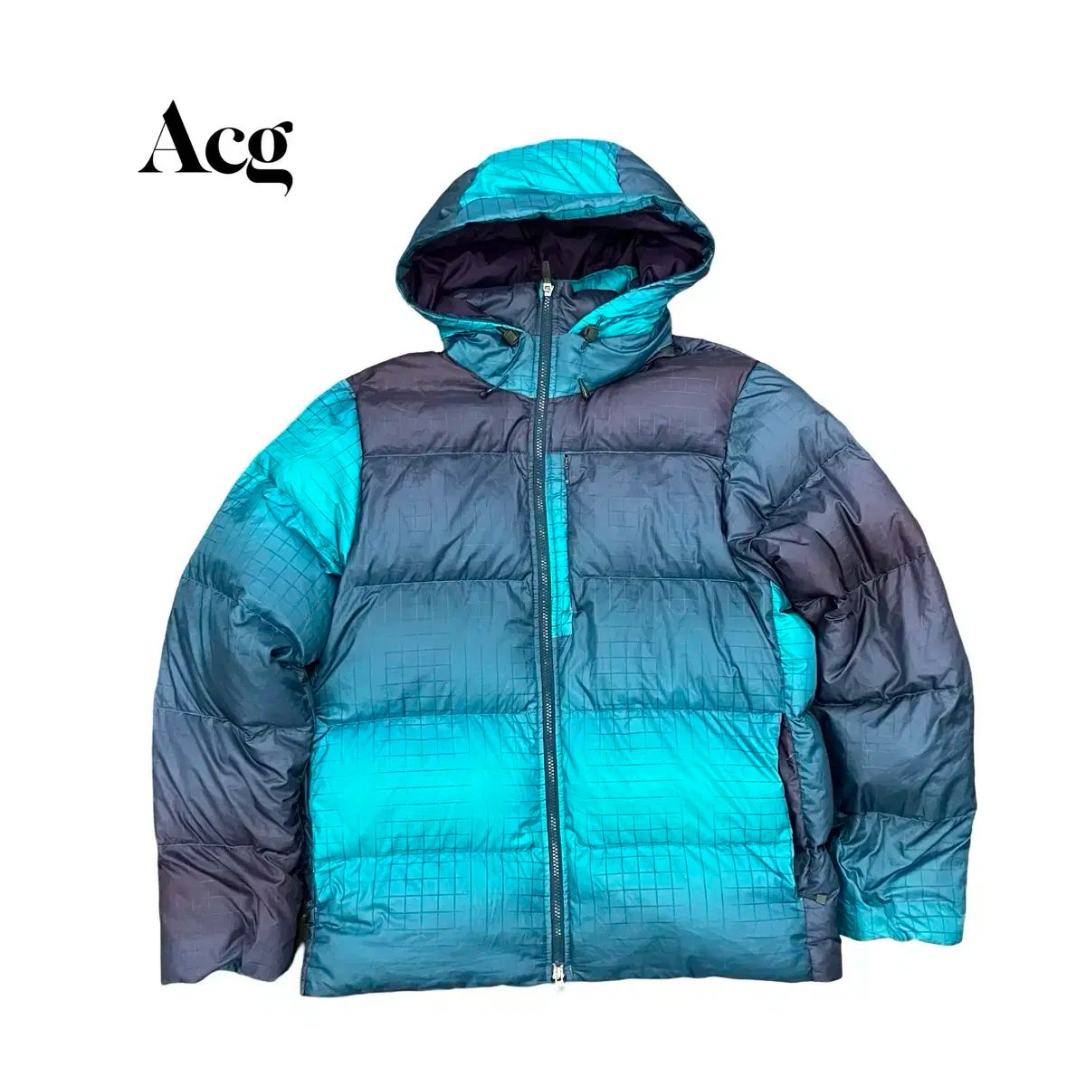 （ 100 ) ナイキ acg ダウンジャケット