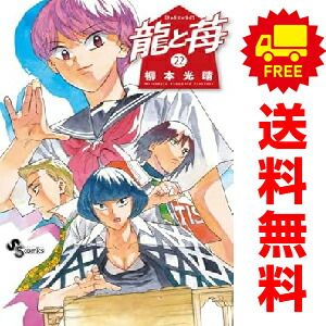ショップ 龍と苺 1～22巻 までの全巻セット 柳本光晴 小学館（おすすめ