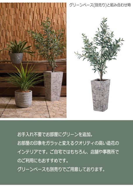 グリーンインテリア オリーブ