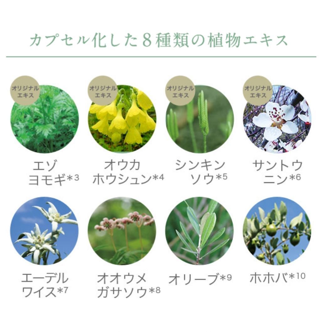 おまけ付きノエビア99プラスシリーズ 3点セット ☆約2,分サンプル