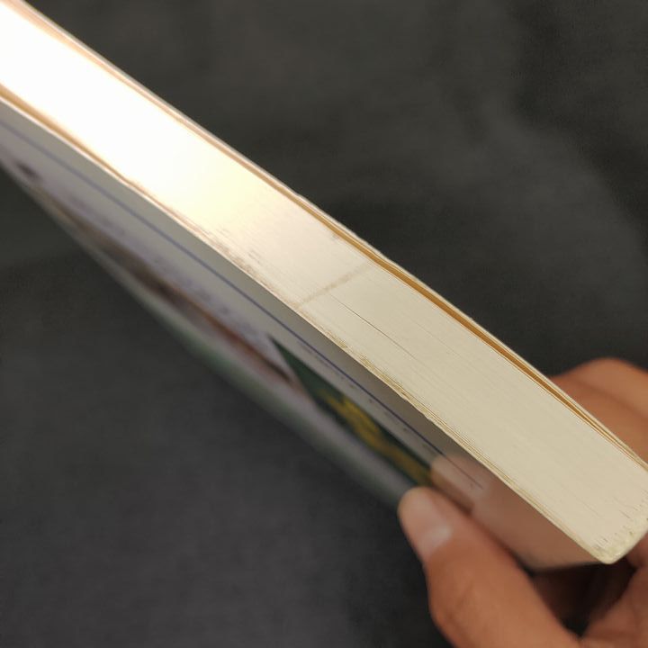 一歩すすんだ セルフケアのためのホメオパシー - メルカリ