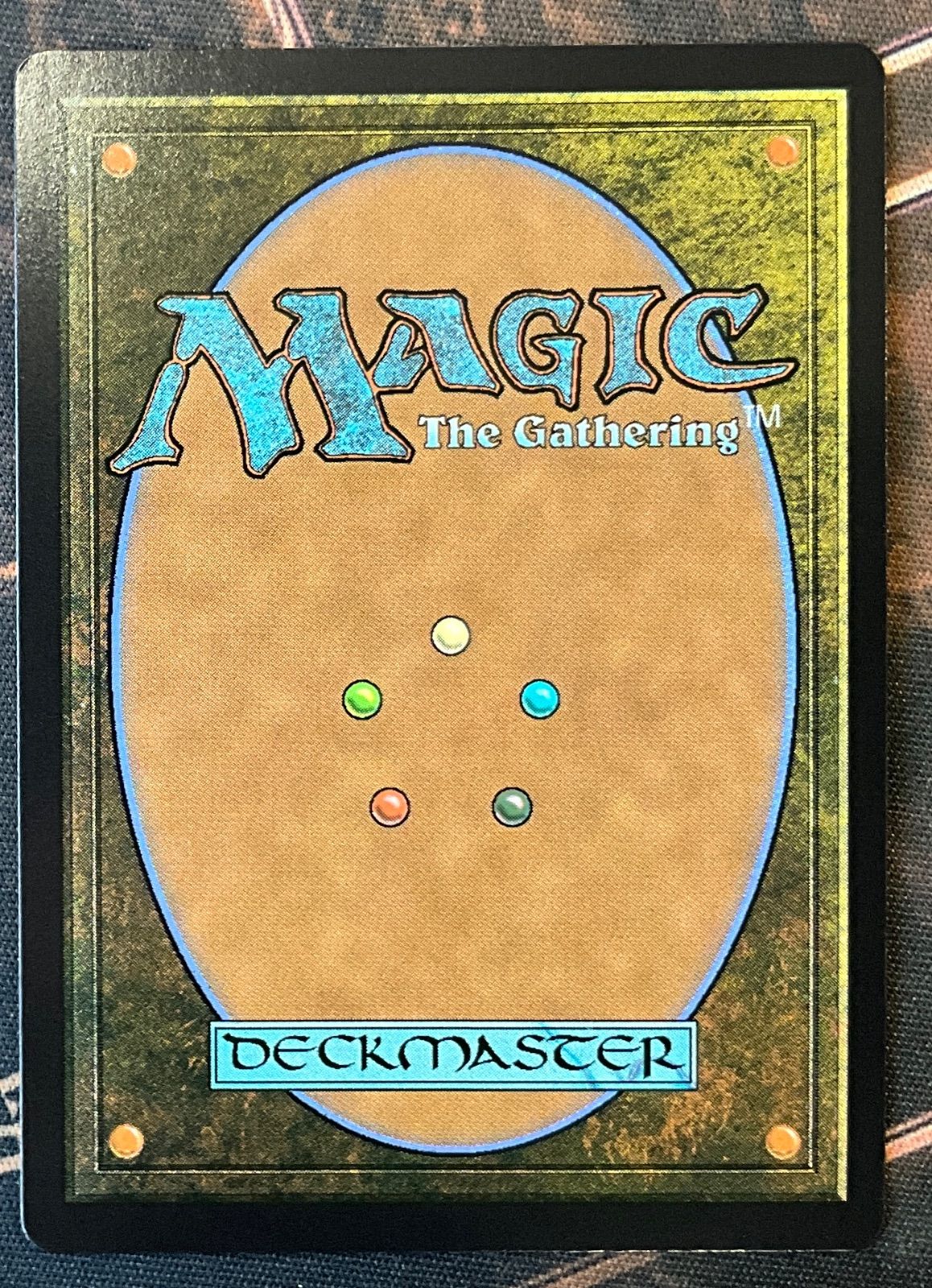 mtg 霧深い雨林