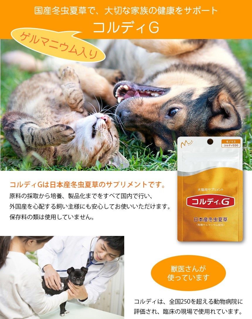 コルディG30g入り
