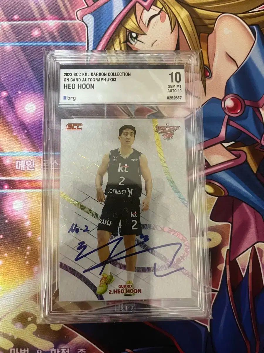 バスケットボール kbl SCC ホ フン 直筆 サイン カード