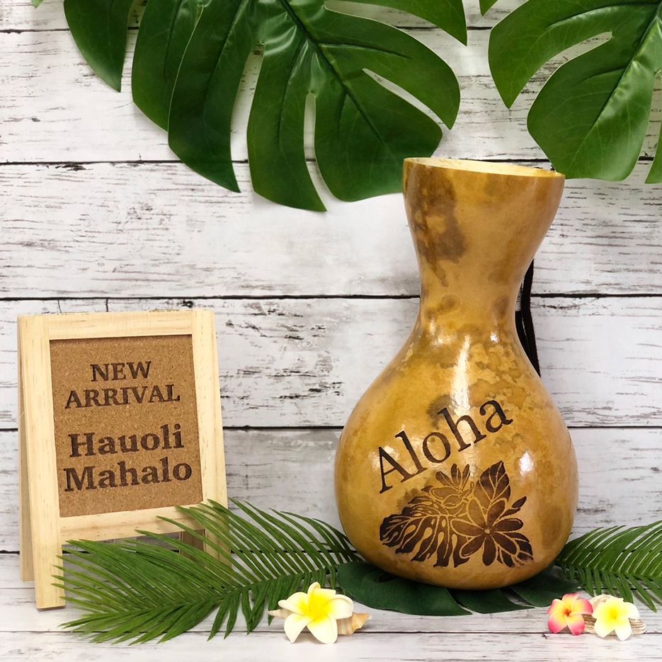 Ipu. Hula. イプ フラ楽器 持ち運びに便利！ソフトカバー付き Ipu