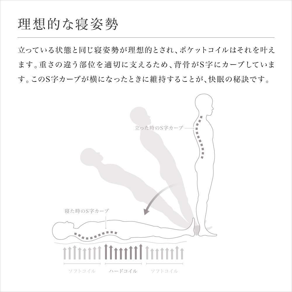 ポケットコイル