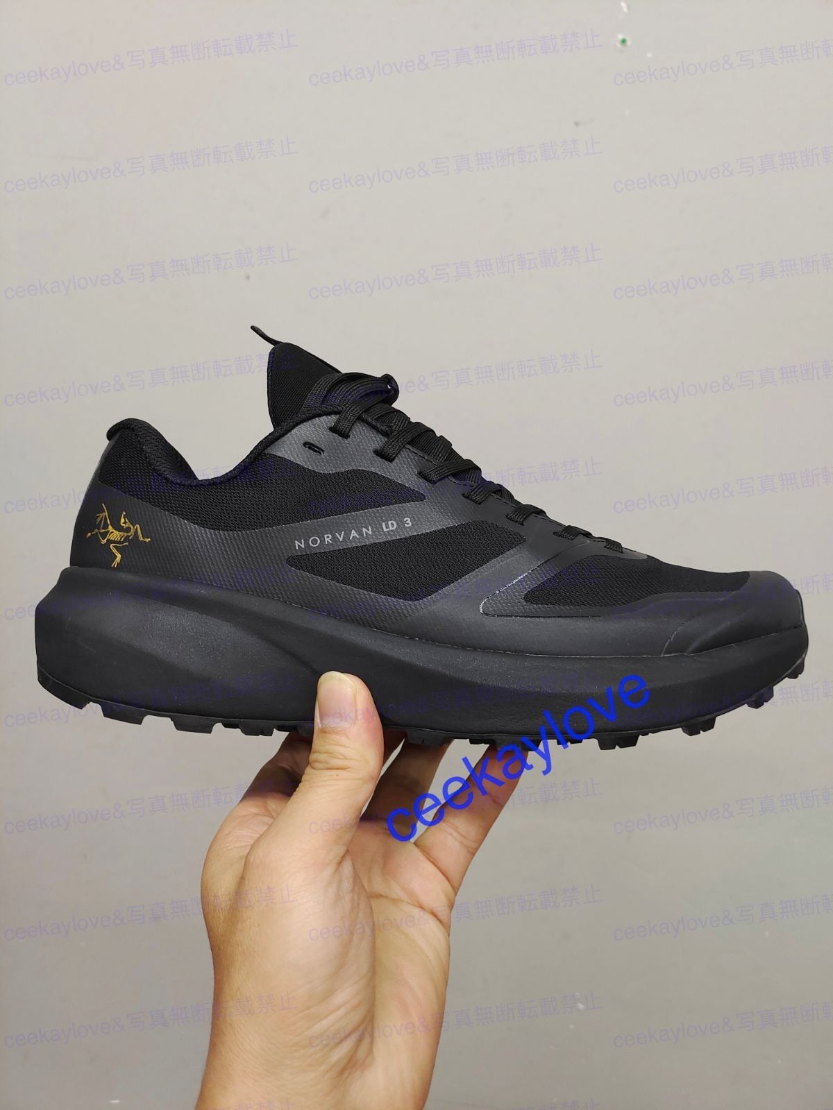 アークテリクス ARC'TERYX ノーバンLD3 GORE-TEX トレッキング