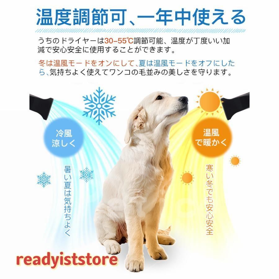 犬