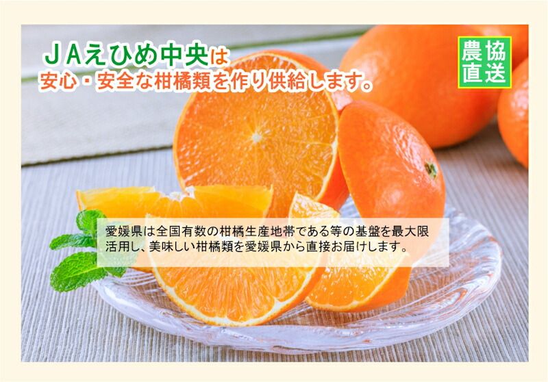 愛媛県の農協 JAえひめ中央 愛媛の果実 紅まどんなカップゼリー 紅ま