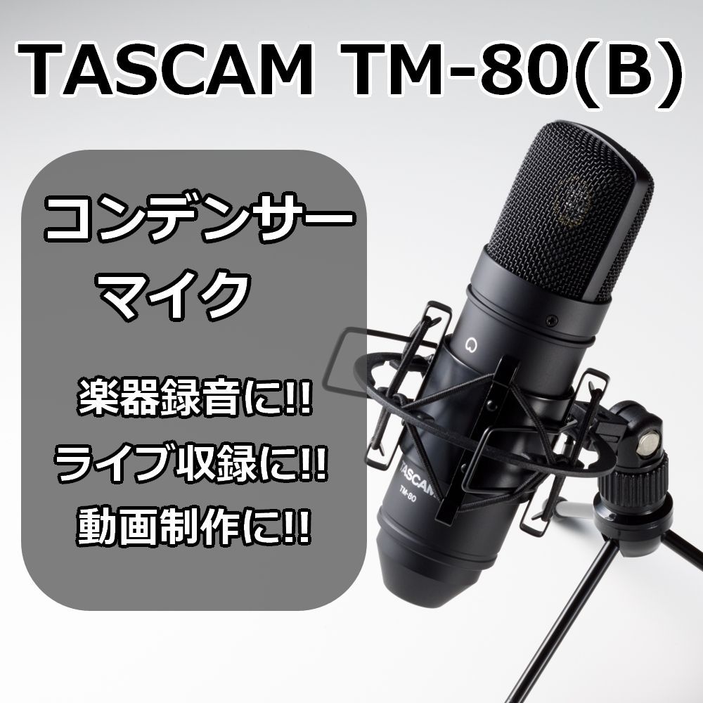 TASCAM TM80 コンデンサマイク シルバー - 配信機器・PA機器